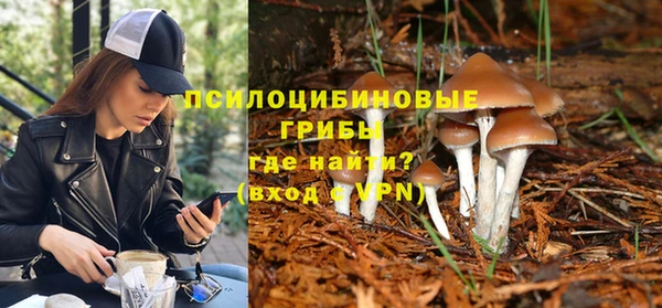 МДПВ Касимов