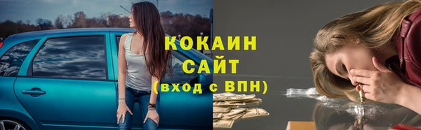 дживик Инсар